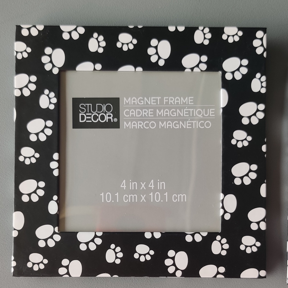 Paw Print Magnet Picture Frame Set Of 10